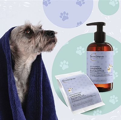 DOG SHAMPOO BAR ΛΕΒΑΝΤΑ-ΕΥΚΑΛΥΠΤΟΣ 120g